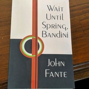 Italian American novel written in English